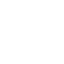 Rupee icon