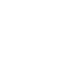 Rupee icon